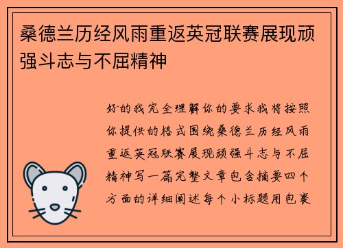 桑德兰历经风雨重返英冠联赛展现顽强斗志与不屈精神